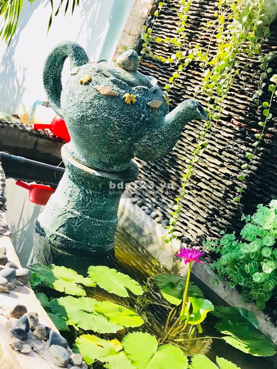 Cho thuê nhà vườn trung tâm Thủ Dầu Một giá rẻ