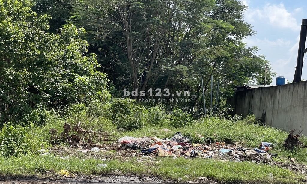 Bán lô đất 8.12 x 28.39 (228m2) 1 sẹc đường Huỳnh Thị Mài, Tân Hiệp Hốc Môn giá 1 tỷ 500 triệu