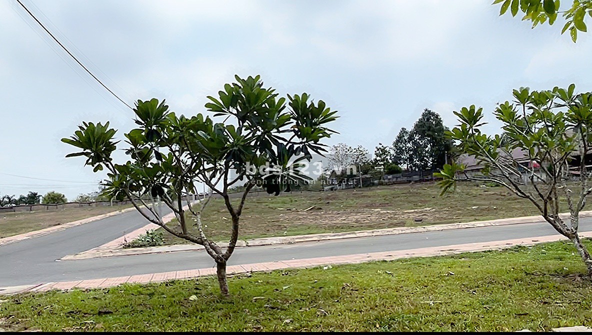 Đất thành phố Biên Hòa giá chỉ từ 1,4 tỷ full thổ