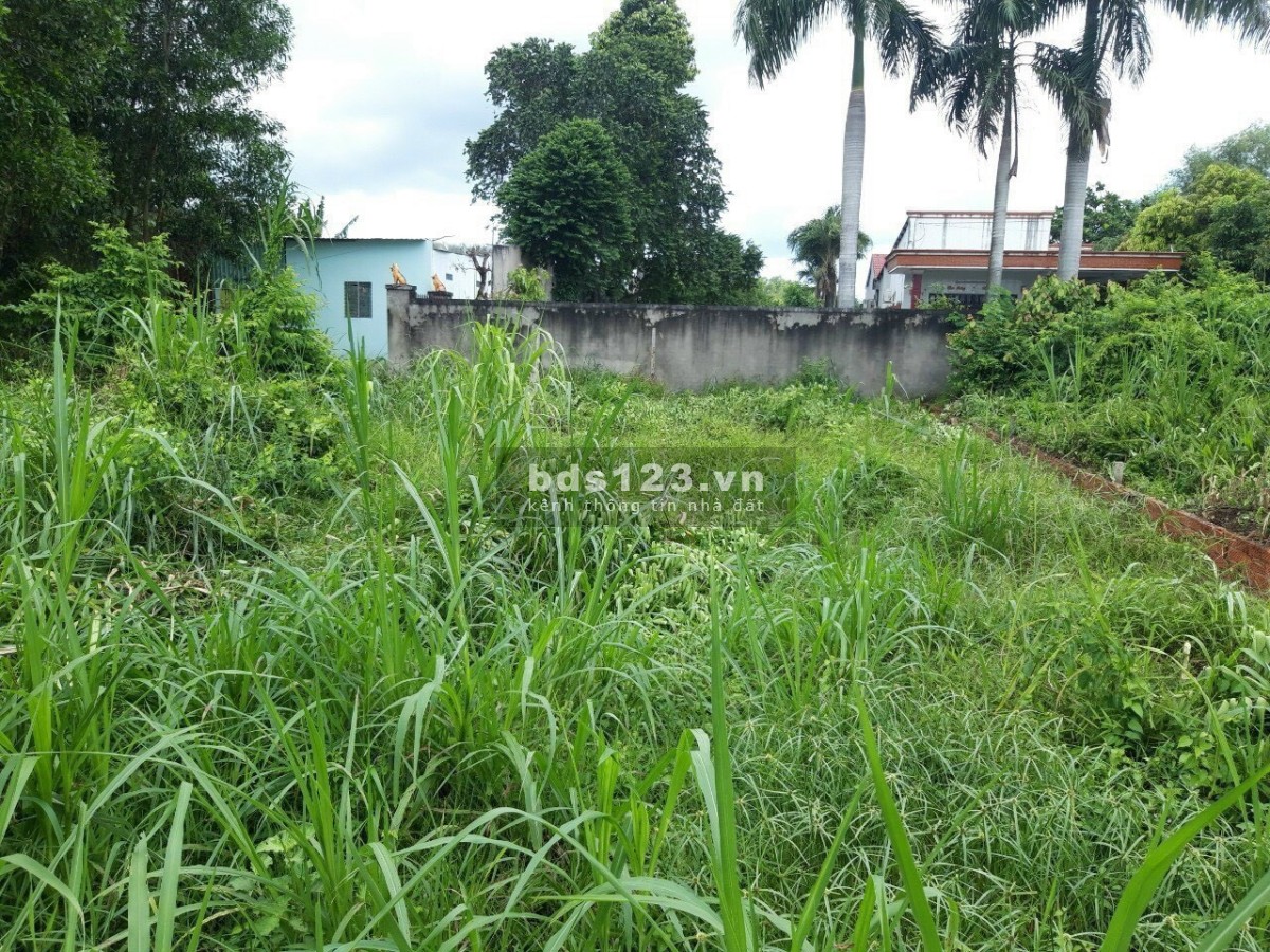 Bán lô đất 122,4m có thổ cư 1 sẹc đường QLL22 vào 1km tới đất Tân Phú Trung Củ Chi, gía 1tỷ150