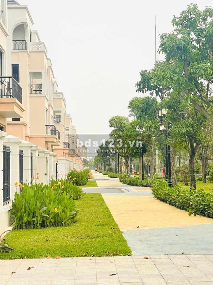 62,5m mặt tiền 5m Cọ Xanh 10-113 VHOCP2 quá rẻ và đẹp. hơn 7 tỷ