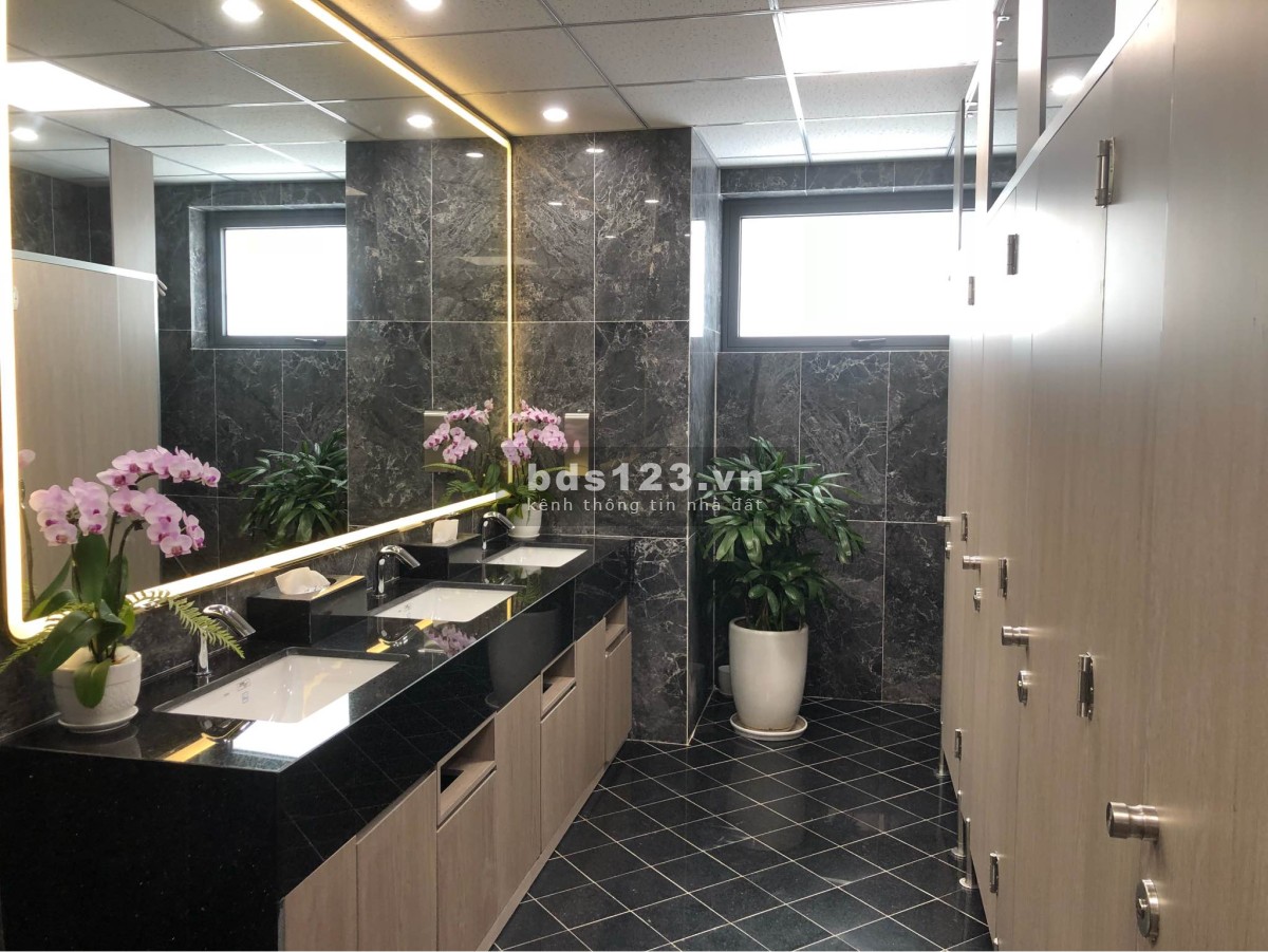 Cho thuê văn phòng truyền thống và Co-working tòa nhà SD Building