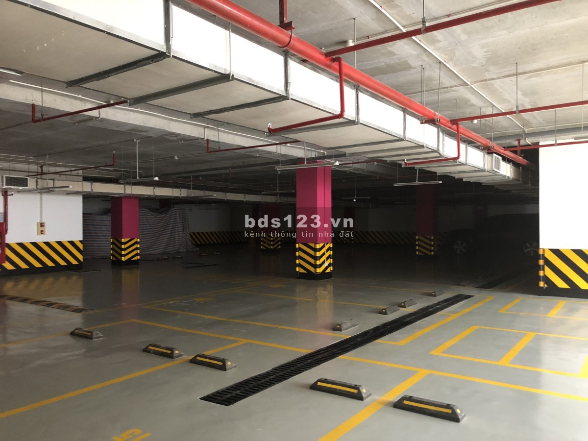 Cho thuê văn phòng truyền thống và Co-working tòa nhà SD Building