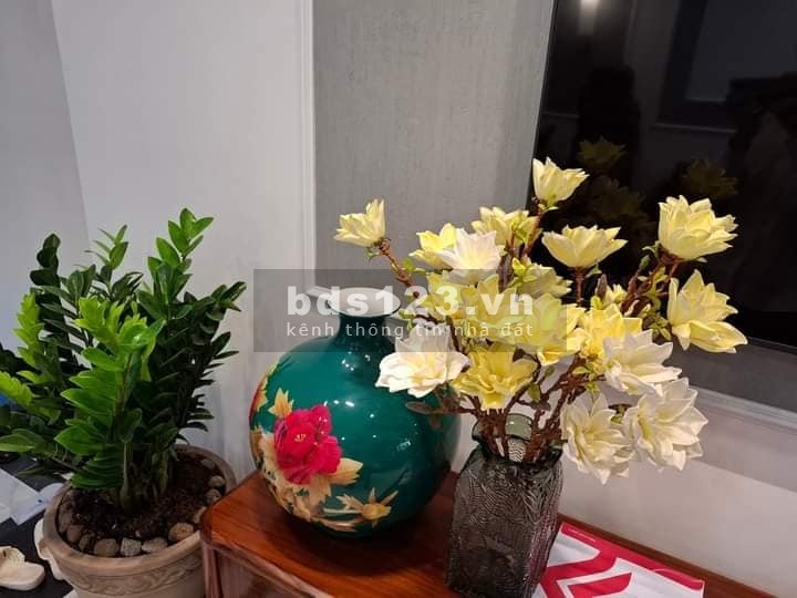 Nhà đẹp Kim Ngưu, Hai Bà Trưng 70m, 5 tầng, mt 4.3m, giá 16.9 tỷ.