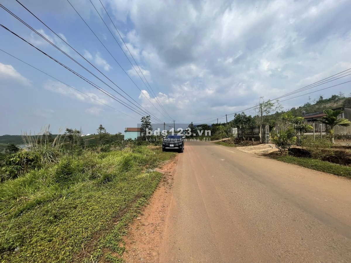 Cơ hội đầu tư đất vàng mặt tiền Lạc Long Quận 5000m2 Bảo Lộc giá chỉ 16.5 tỷ