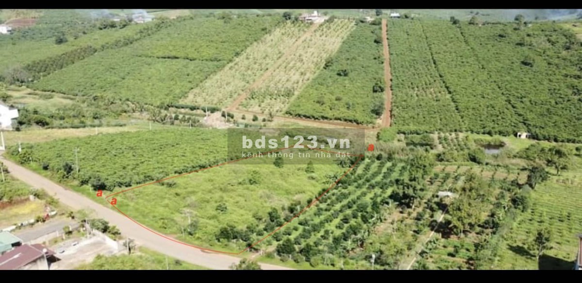 Cơ hội đầu tư đất vàng mặt tiền Lạc Long Quận 5000m2 Bảo Lộc giá chỉ 16.5 tỷ