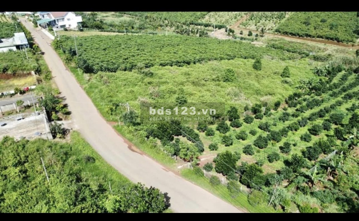 Cơ hội đầu tư đất vàng mặt tiền Lạc Long Quận 5000m2 Bảo Lộc giá chỉ 16.5 tỷ