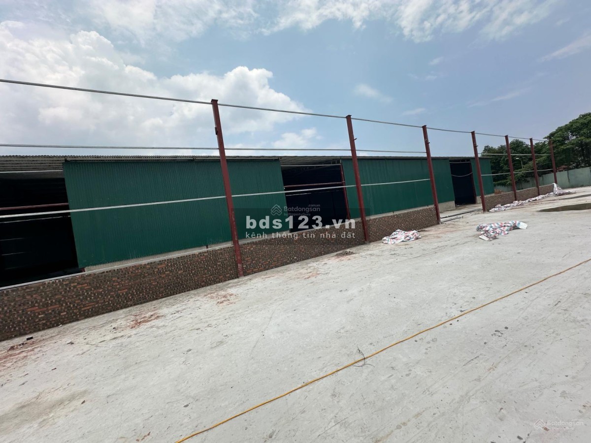 Cho thuê kho giá rẻ 500 - 5000m² KCN Lại Yên, An Khánh, Hoài Đức, Đại Lộ Thăng Long
