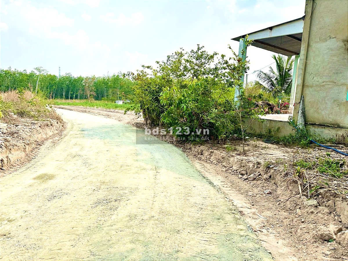 Bán Đất Minh Thành Chơn Thành Giá rẻ chỉ 3xx