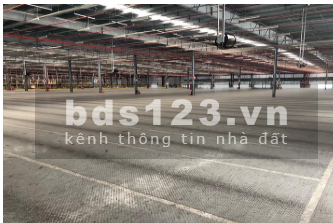 Kho cho thuê, kho tiêu chuẩn Nhật Bản, KCN Tân Đông Hiệp B, Dĩ An