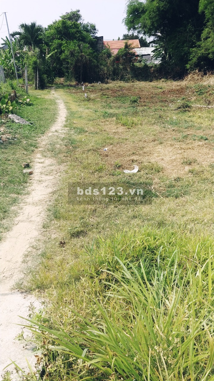 Chính chủ cần bán gấp đất thổ cư - Diên tích 185 m2