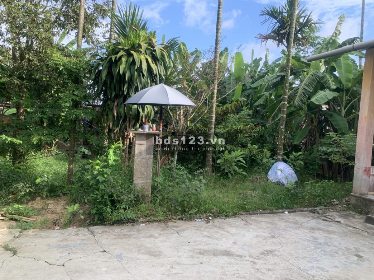 Cần bán đất Phò Nam, Quảng Thọ, Huyện Quảng Điền, Huế