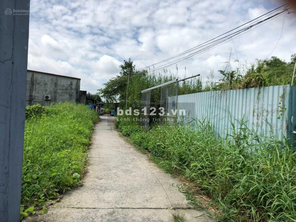 Bán đất trồng cây lâu năm: Đường Tổ 12, Ấp 4, Xã Đa Phước, huyện Bình Chánh. DT: 1.350m2