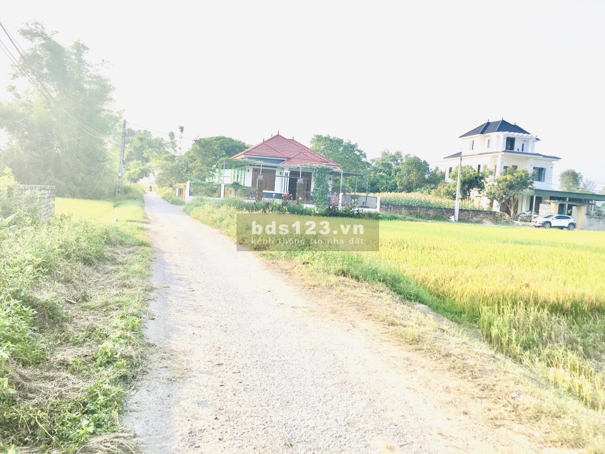Bán nhanh lô đất đẹp Nghi Phong đường nhựa 8M giá chỉ 10,X