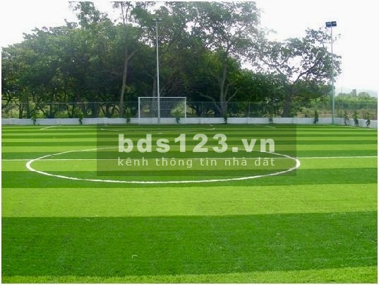 Đất 12.000m2 (Có cắt lẻ) mặt tiền cho thuê làm bãi xe, sân bóng... 50k/m2