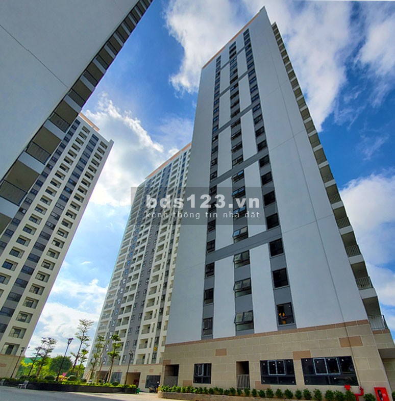 Thuê nhà giá siêu rẻ tại IRIS TOWER chỉ có 3.8tr căn 2PN,TẠI KCN VSIP1 Thuận An Parkview Bình Dương