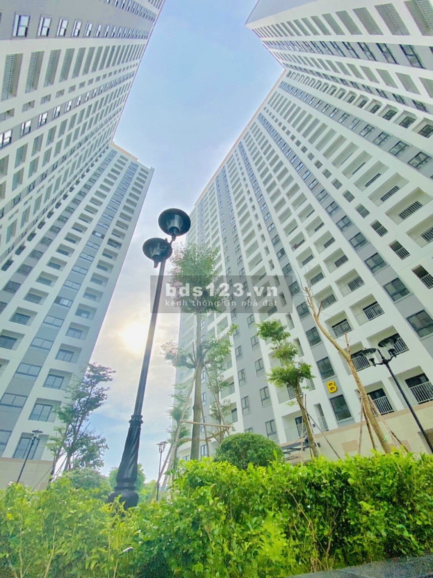 Thanh toán 260tr nhận luôn căn hộ ở Thuận An - Parkview Bình Dương kcnVSIP1 - IRIS TOWER ở được ngay