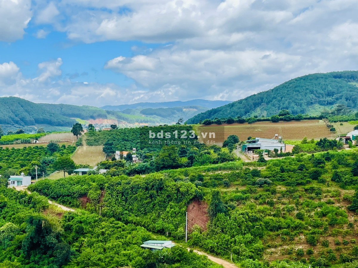 Bán đất nền Nam ban Lâm Hà Lâm đồng Đà lạt