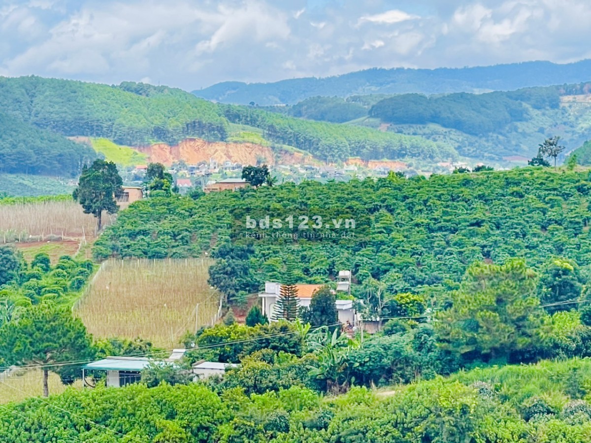 Bán đất nền Nam ban Lâm Hà Lâm đồng Đà lạt