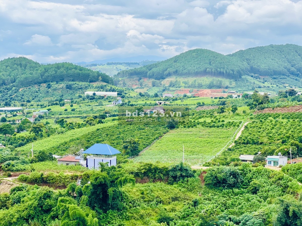 Bán đất nền Nam ban Lâm Hà Lâm đồng Đà lạt