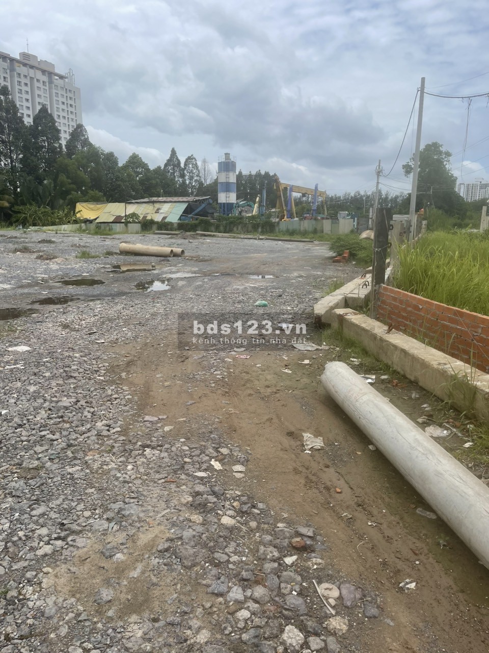 Cho thuê đất 5.500m2 gần đường Liên Phường, Phú Hữu, Quận 9