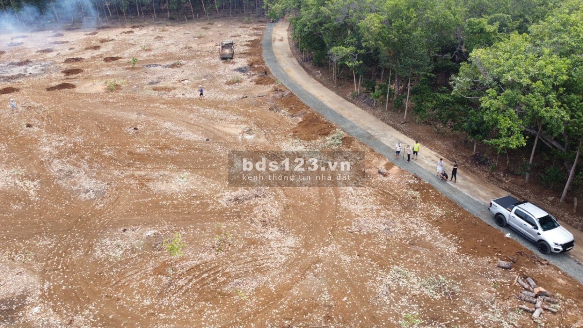 285tr/ 1000m2, Đang trồng sầu riêng, đối diện KCN Minh Hưng 2