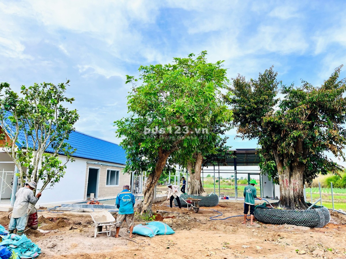 Bán nhà vườn biển-Sea Garden Homes view ruộng lúa ngay KDC và QL55