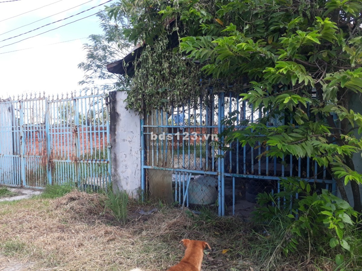 Đất sổ hồng chính chủ, có điện nhà nước, nước giếng khoan, có nhà và phòng trọ đang cho thuê
