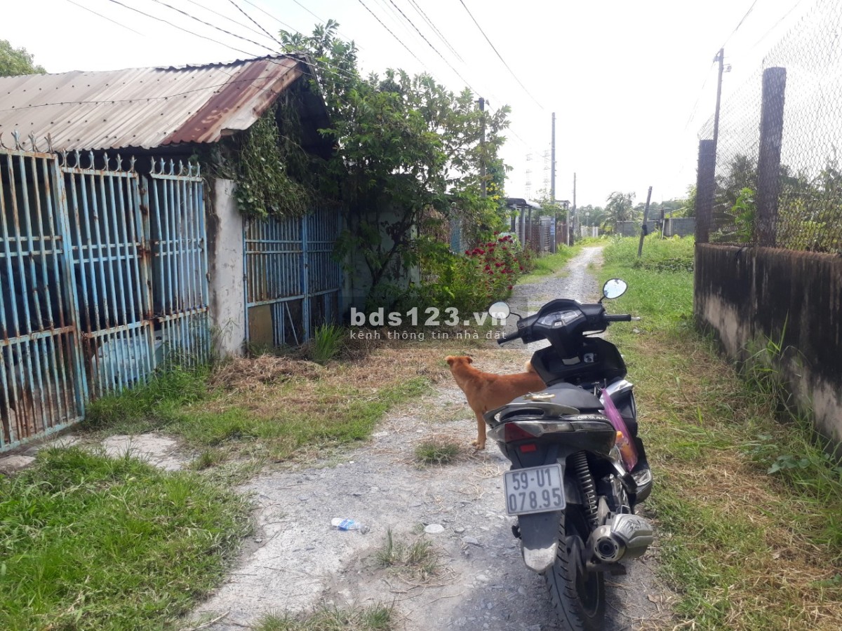 Đất sổ hồng chính chủ, có điện nhà nước, nước giếng khoan, có nhà và phòng trọ đang cho thuê