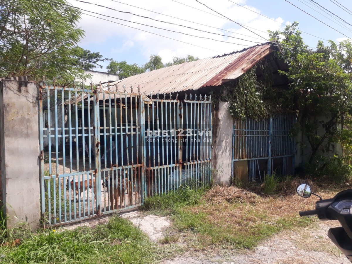 Đất sổ hồng chính chủ, có điện nhà nước, nước giếng khoan, có nhà và phòng trọ đang cho thuê