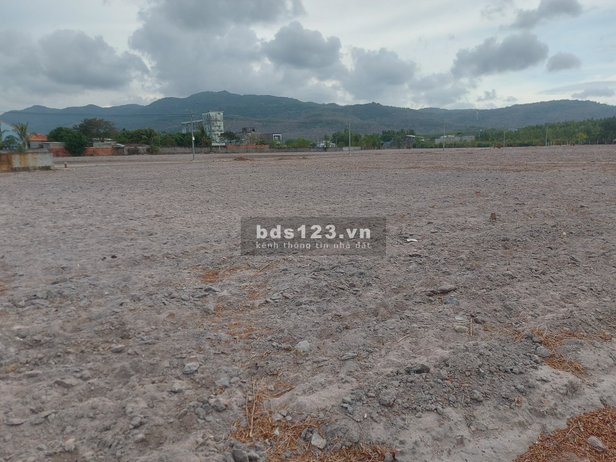 Đầu Tư Đất Nền Tại Phú Mỹ, Bà Rịa Vũng Tàu - Cơ Hội Không Thể Bỏ Lỡ! 