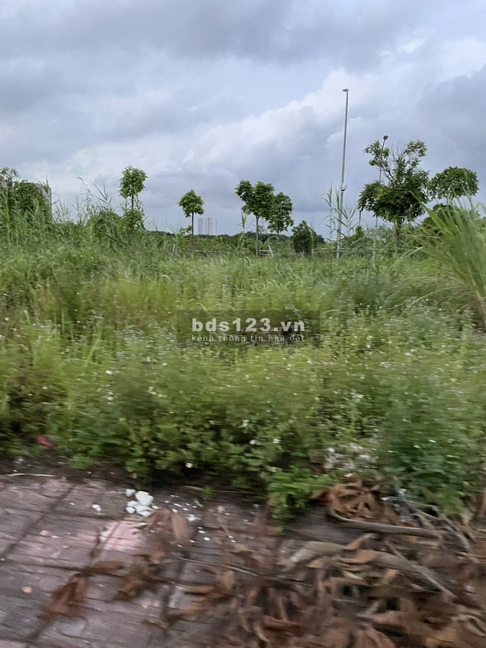 Bán nhanh 75M2 đất đấu giá vỉa hè 2M gần cầu Vĩnh Tuy giá 10 tỷ có TL