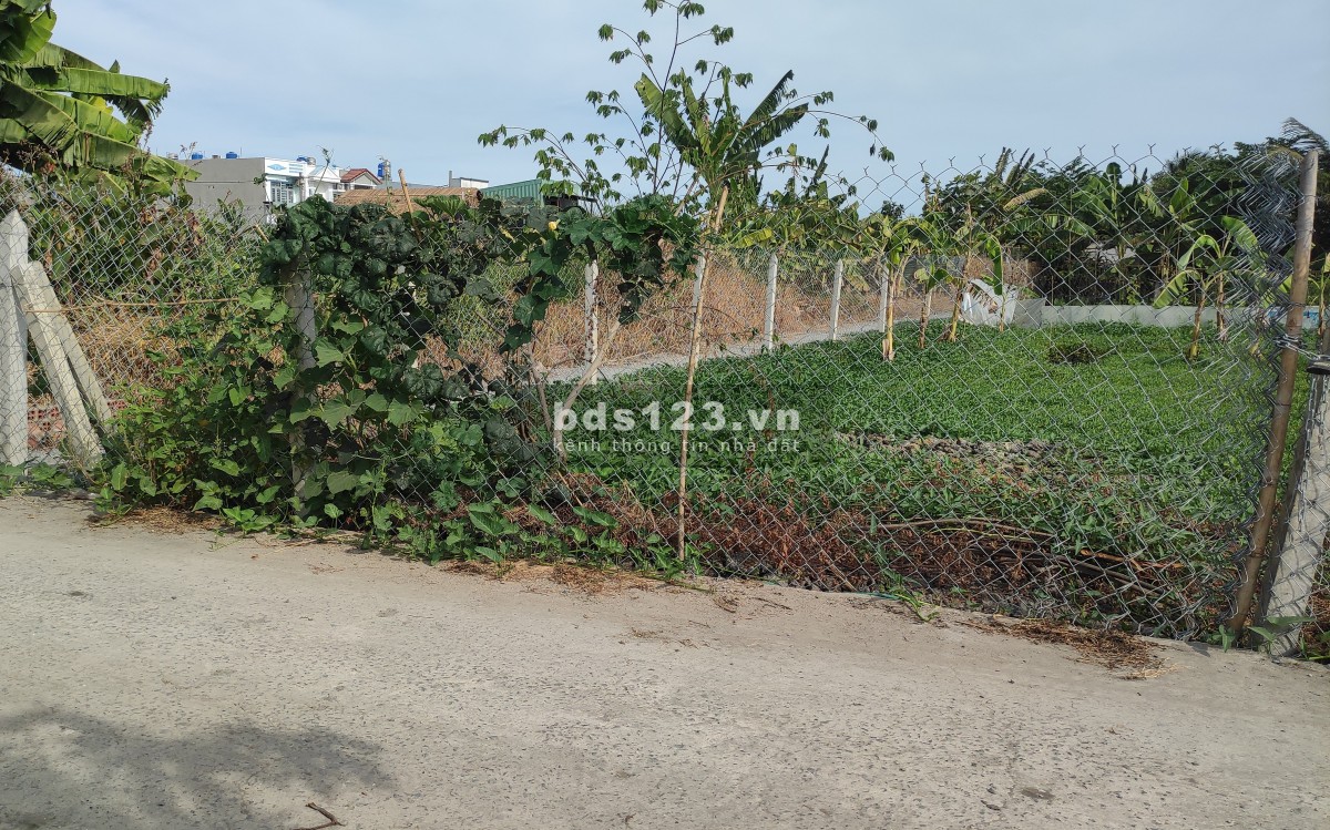 Đất ô tô vào, Khu Dân Cư Bình Mỹ, xây nhà vườn ở liền. 550tr