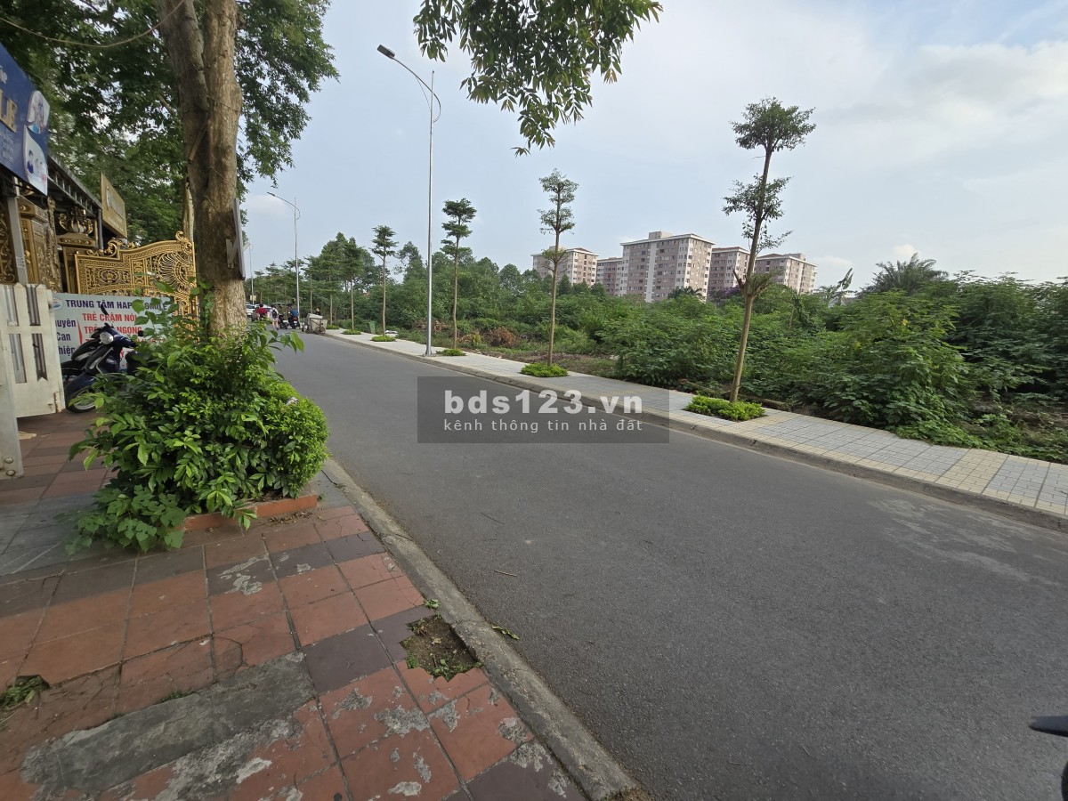 Bán đất Trâu Quỳ 103m2, MT 7m, hậu 15m, DT: 0986590193