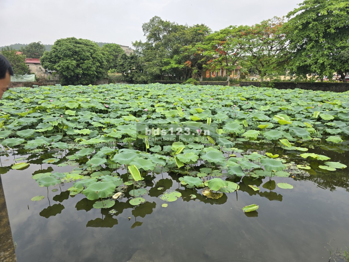 Bán đất Trâu Quỳ 103m2, MT 7m, hậu 15m, DT: 0986590193
