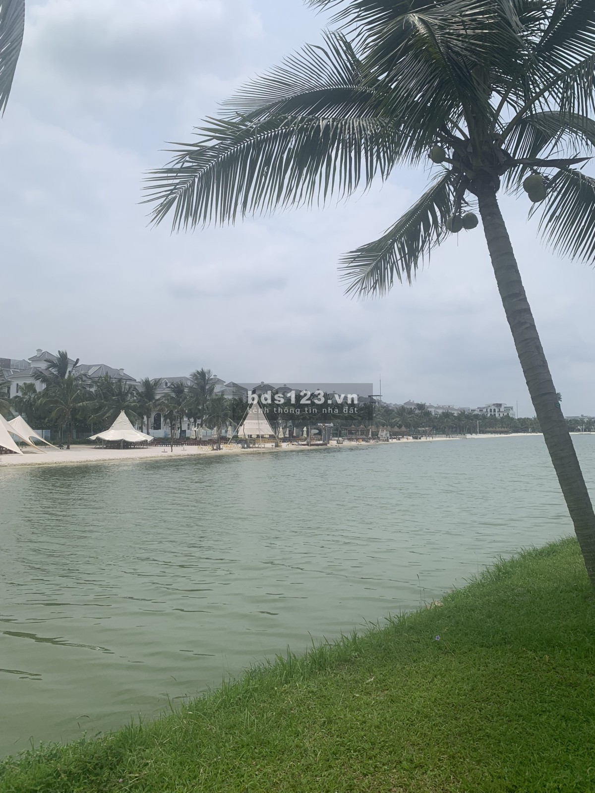 Biệt thự song lập Ngọc Trai 165,5m2 xây 88m2/sàn - 37 tỷ cạnh công viên Vinhomes Ocean Park Gia Lâm