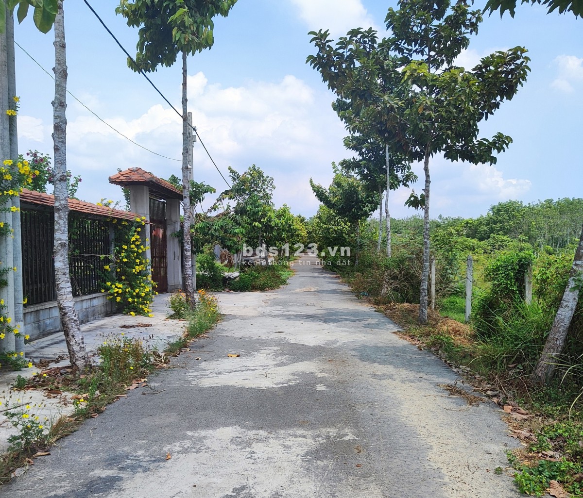 Chính chủ cần bán đất đẹp giá siêu tốt gặp ưng ngay
