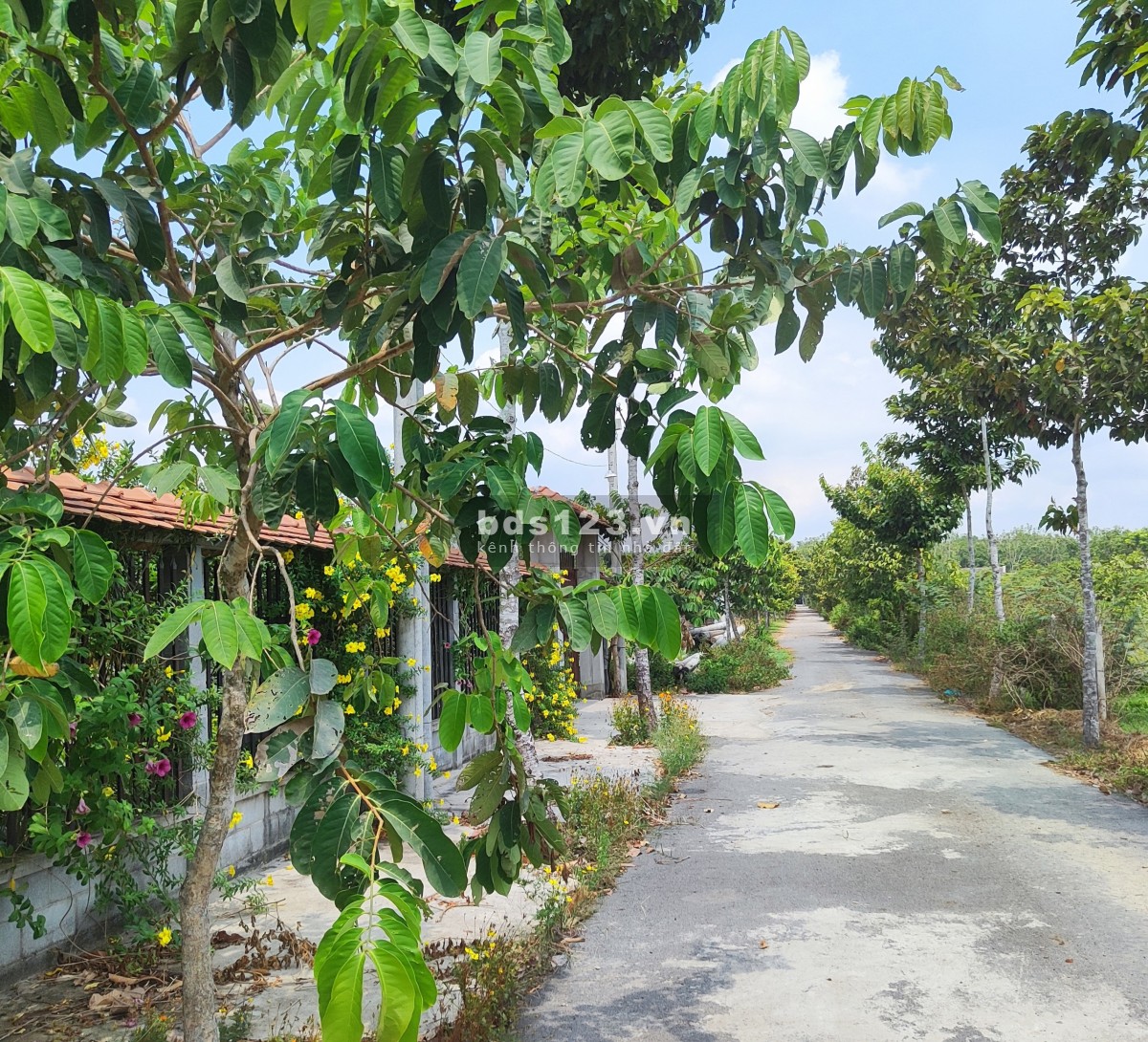 Chính chủ cần bán đất đẹp giá siêu tốt gặp ưng ngay