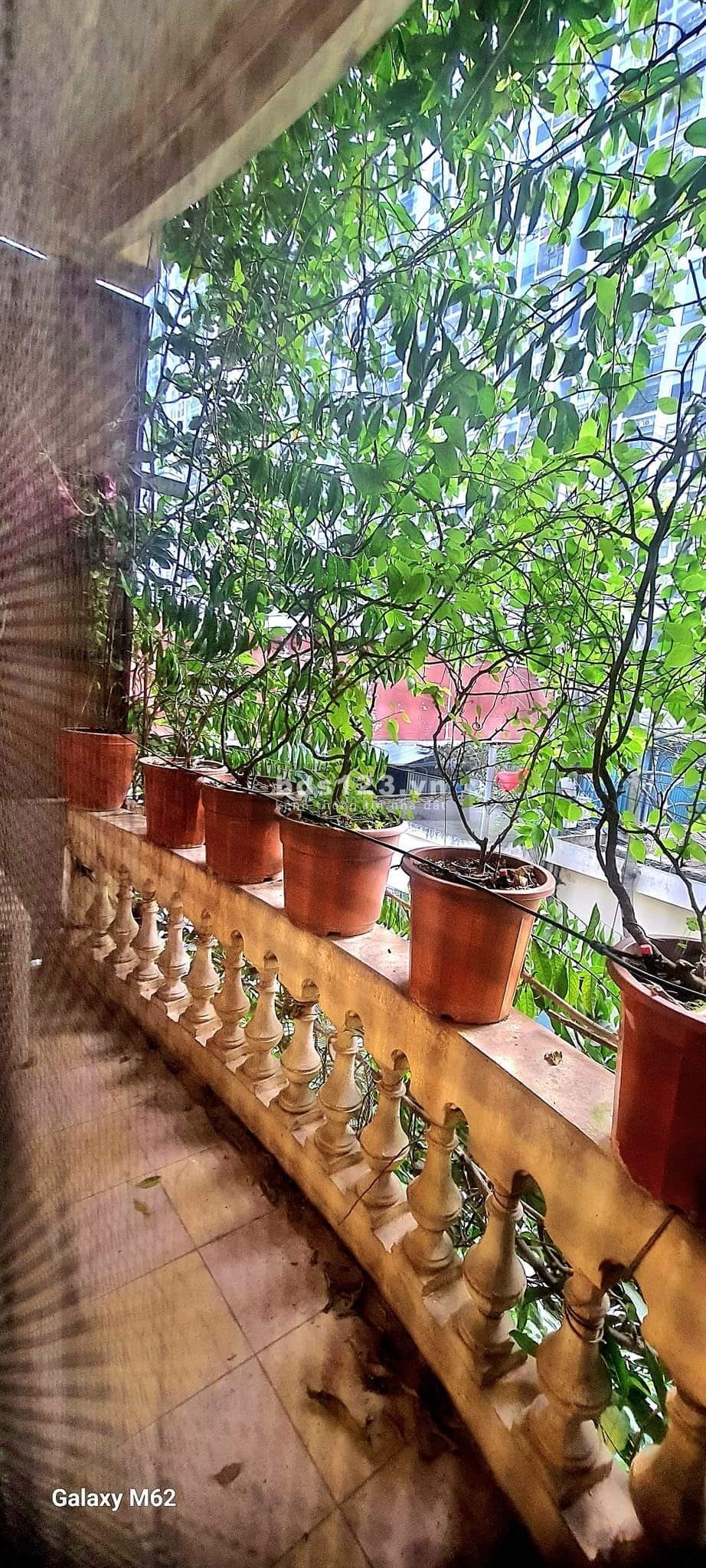 SIÊU PHẨM ĐƯỜNG NGỌC HỒI -PHÁP VÂN - 37/40M2 - Ô TÔ 7 CHỖ TRÁNH - KINH DOANH ĐA NGÀNH NGHỀ.