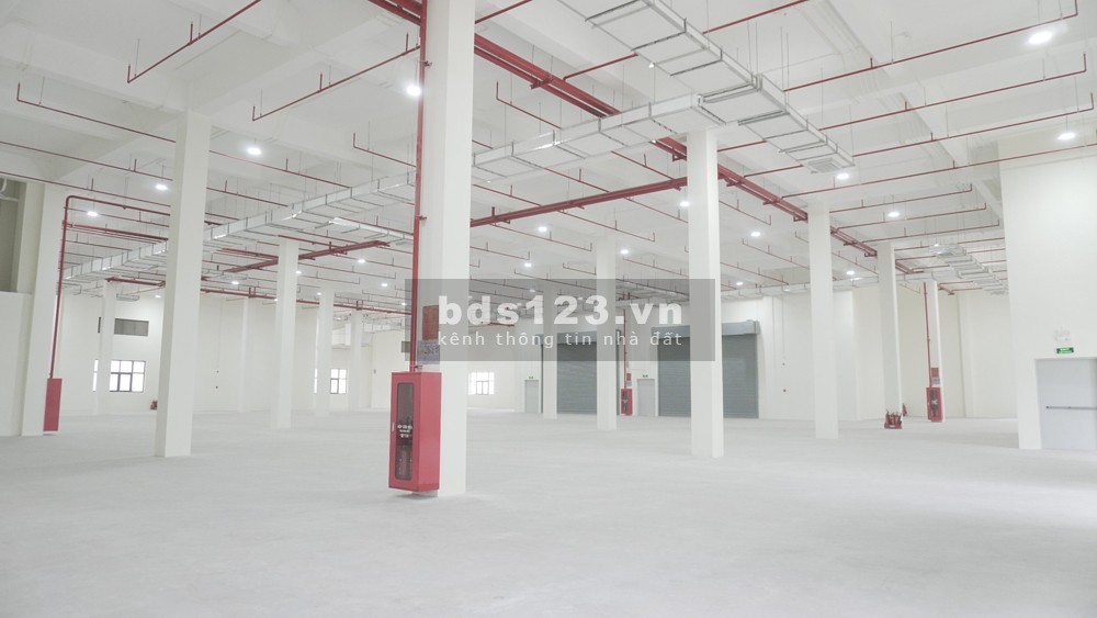 Kho Xưởng Công Nghệ Cao Tại TTZ: Lựa Chọn Tối Ưu Cho Doanh Nghiệp