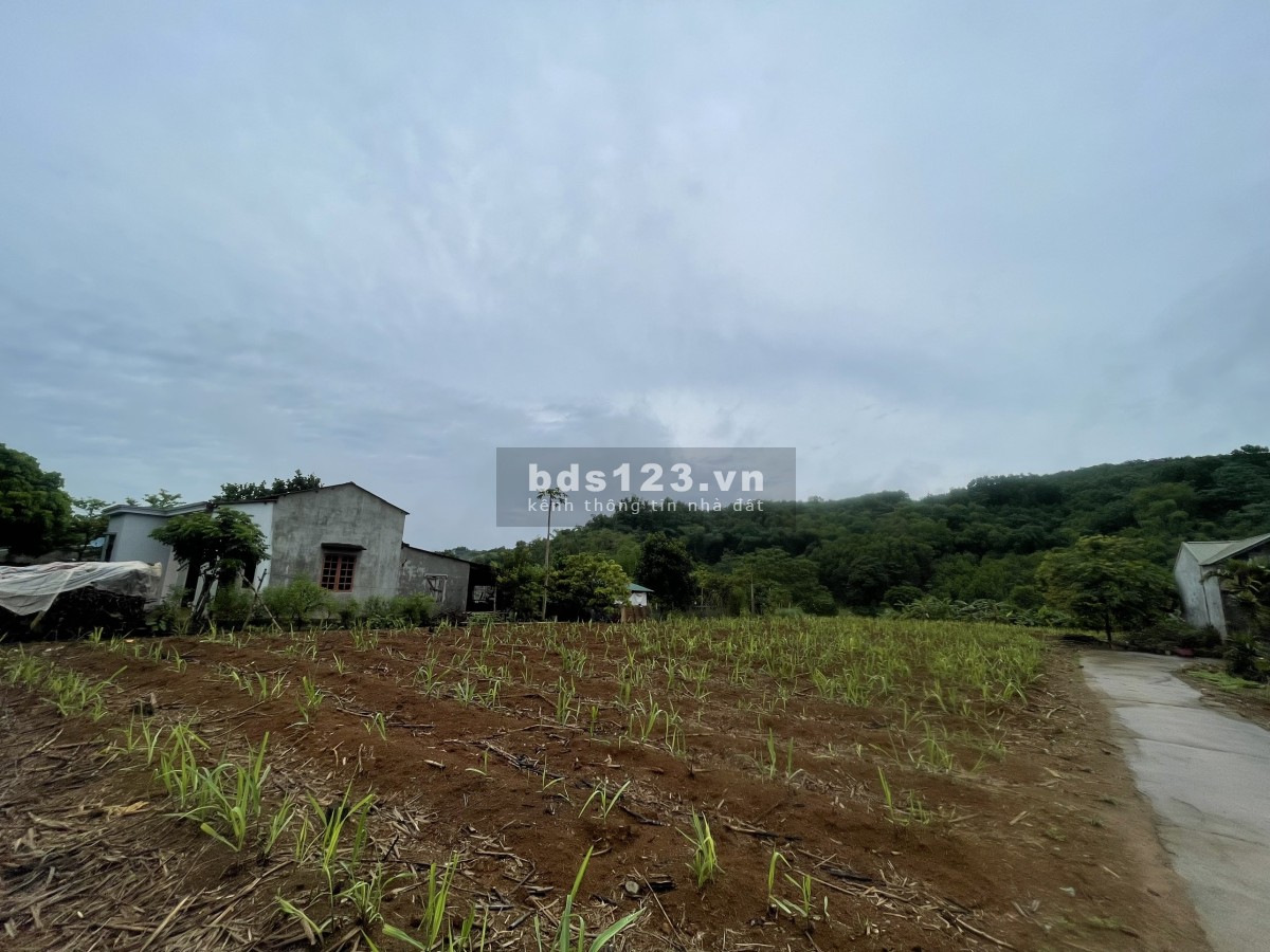 Chính chủ bán lô đất SIÊU ĐẸP, GIÁ RẺ TẠI Thu Phong, Cao Phong, Hoà Bình.