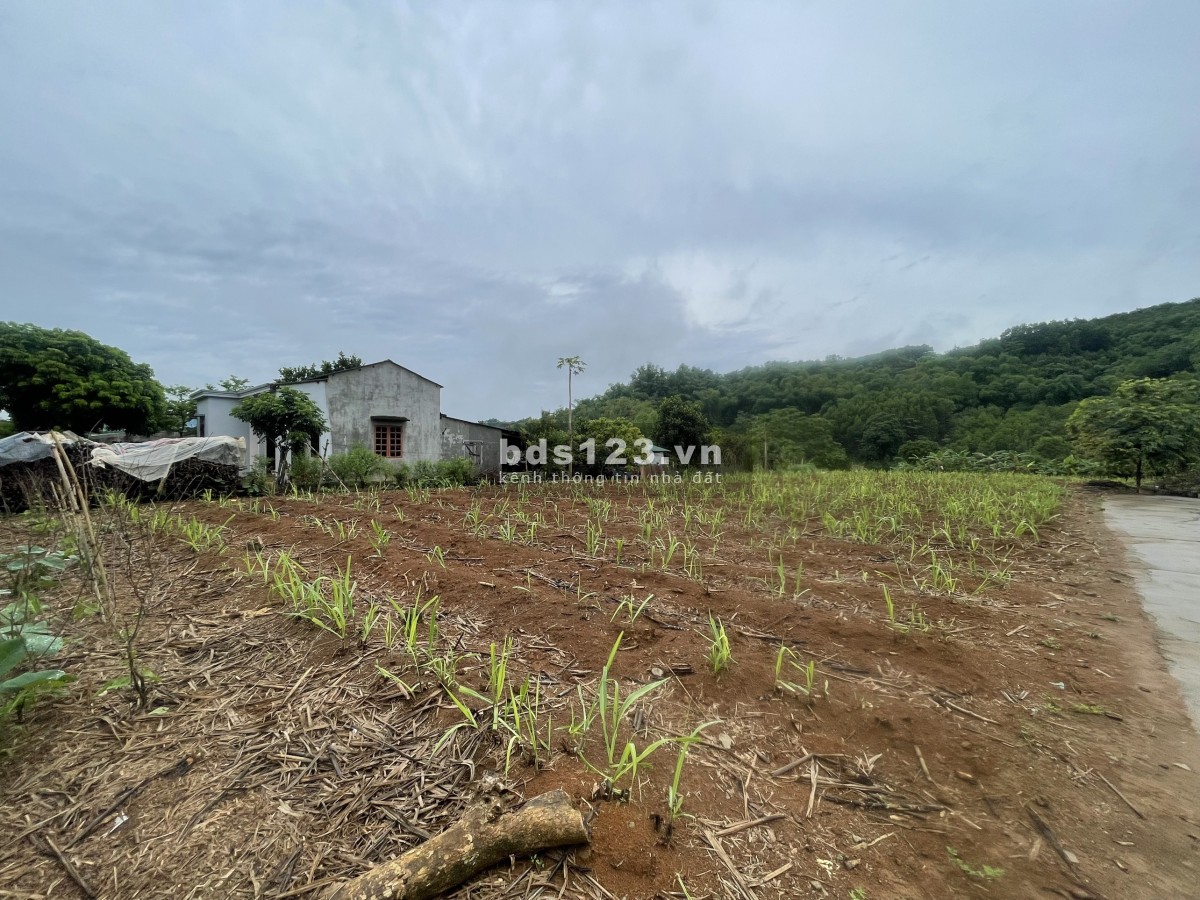 Chính chủ bán lô đất SIÊU ĐẸP, GIÁ RẺ TẠI Thu Phong, Cao Phong, Hoà Bình.