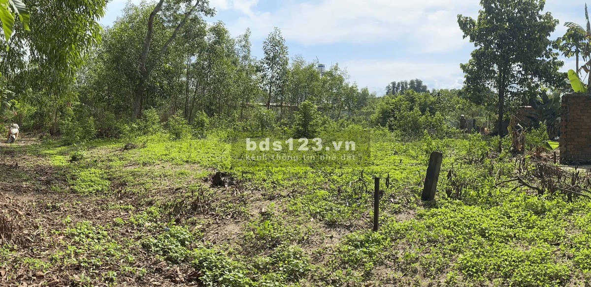 Đất nền chính chủ 488 m2, vị trí vàng gần sân bay Long Thành