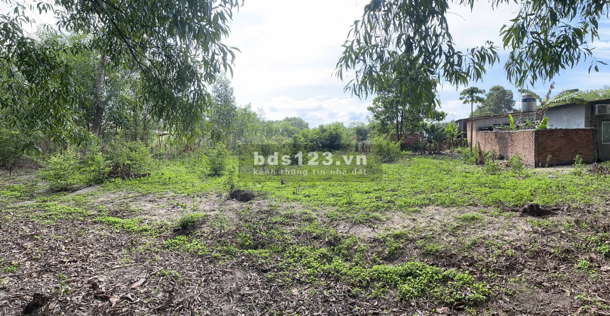 Đất nền chính chủ 488 m2, vị trí vàng gần sân bay Long Thành