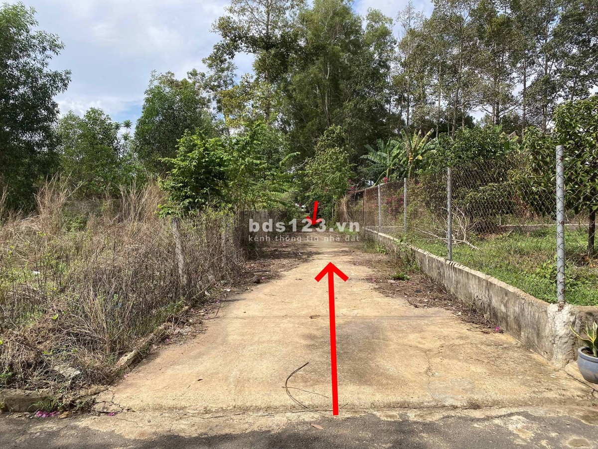 Đất nền chính chủ 488 m2, vị trí vàng gần sân bay Long Thành