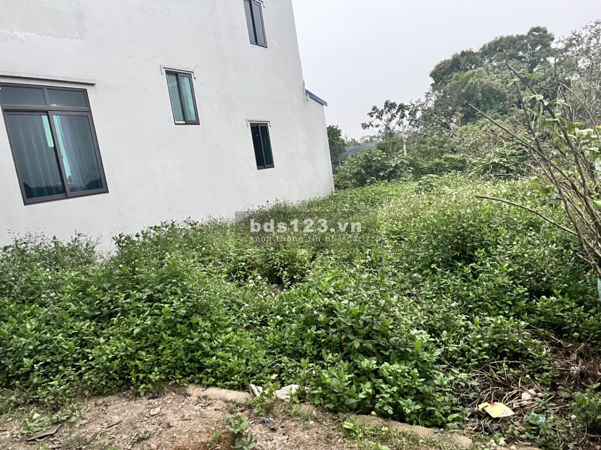 Bán 127m full thổ cư tại xã Phụng Châu, Chương Mỹ (Nở hậu) - Chỉ hơn 20 triệu/m