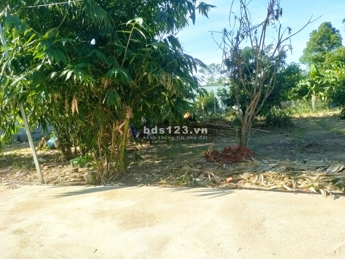 Chính chủ cần bán lô đất 126m2 đất ở hoàn toàn tại Hòa Khương Đà Nẵng