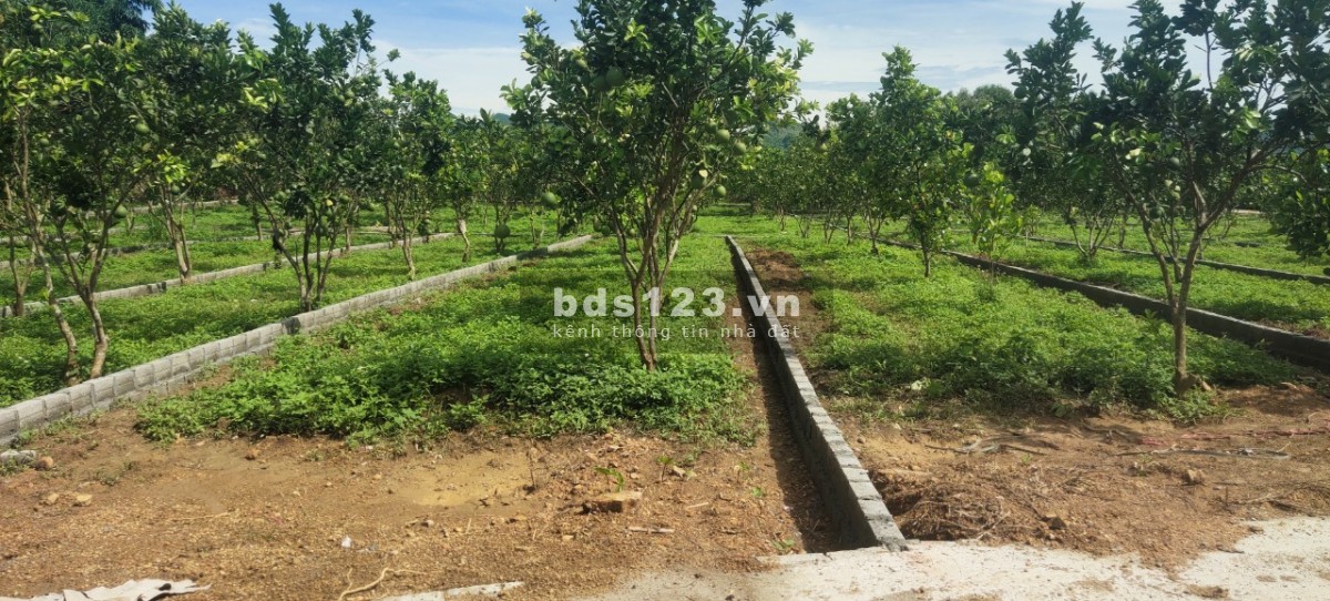 CTCP TẬP ĐOÀN RICH LAND vừa mở bán bảng KCN BẢO HIỆU- YÊN THỦY- HÒA BÌNH giá chỉ từ 1XX - 2XX 1 nền.