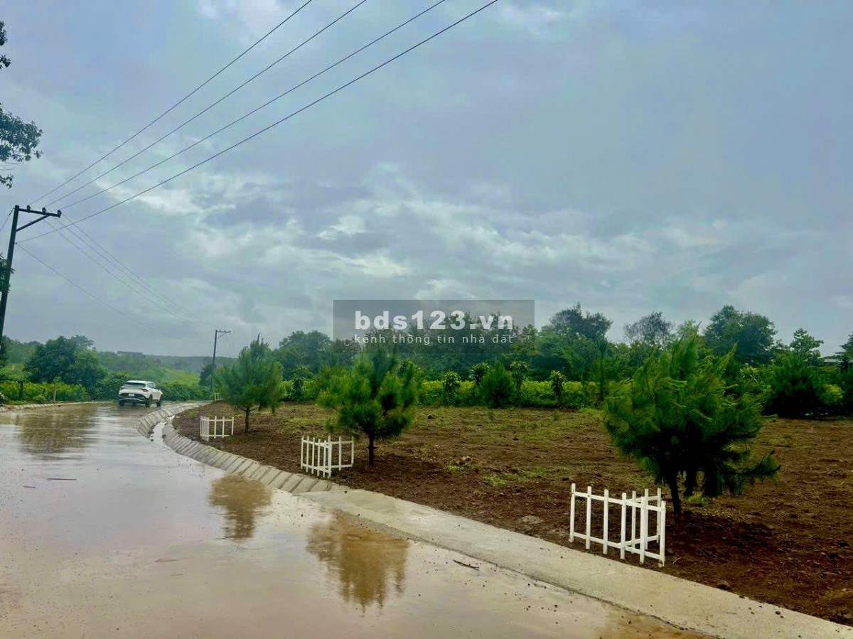 BÁN LÔ ĐẤT THỔ CƯ MẶT TIỀN ĐƯỜNG TÔN THẤT THUYẾT, LỘC TÂN BẢO LỘC GIÁ CHỈ 950 TRIỆU