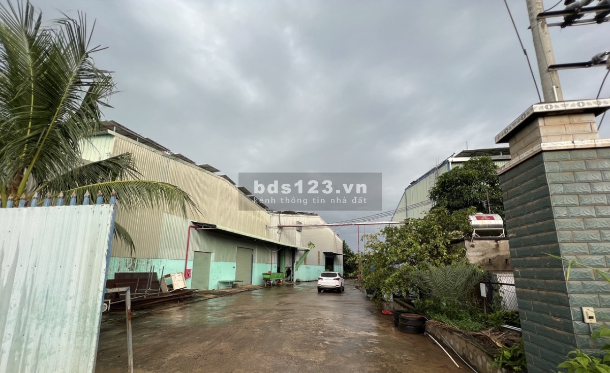 Cho thuê Kho Xưởng: 6.000m2 Tân An, Long An. Có PCCC, đường xe Cont, điện bình 750kva.